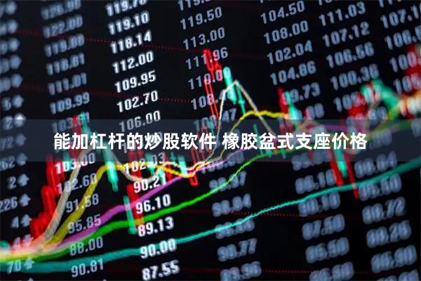 能加杠杆的炒股软件 橡胶盆式支座价格