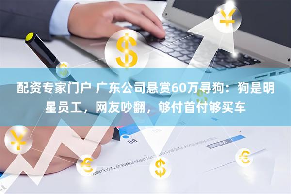 配资专家门户 广东公司悬赏60万寻狗：狗是明星员工，网友吵翻，够付首付够买车