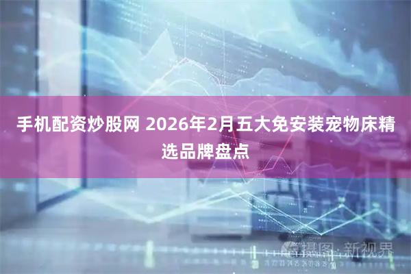 手机配资炒股网 2026年2月五大免安装宠物床精选品牌盘点